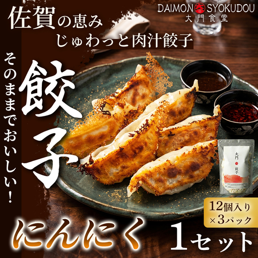 [1個28gで満足度大!]大門餃子 にんにく(12個入×3P) 1セット 冷凍餃子 餃子:B120-083