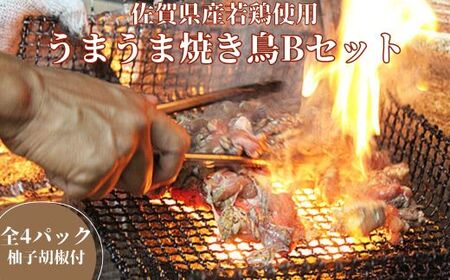 まこっちゃん うまうま焼き鳥Bセット：B140-013