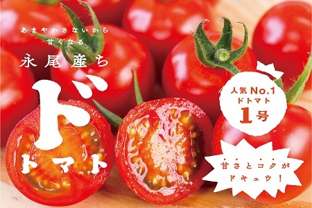 [人気]甘さとコクがド級!ドトマト1号 とまと 野菜:B140-010