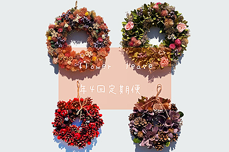 [定期便4回]ドライフラワーリース:B690-001