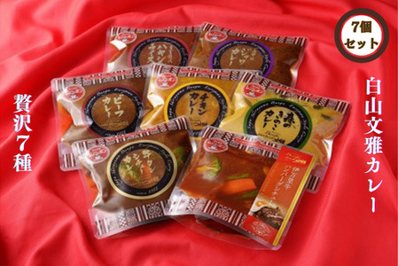 白山文雅カレー 贅沢7個セット 老舗 名店 欧風カレー 食べ比べ ビーフカレー きのこカレー ジャワカレー ハヤシカレー 牛タンカレー 伊万里牛 煮込みハンバーグ シチュー:B325-001