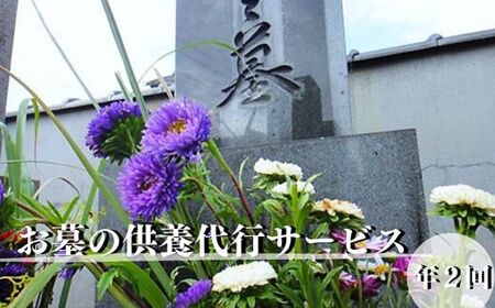 お墓の供養代行サービスプラス:B305-002