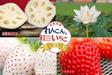 佐賀県産 れんこんと紅白いちごのセット:B240-008