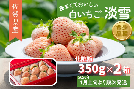 【先行予約】希少価値 佐賀県産 いちご 淡雪 （化粧箱×2箱） フルーツ 果物 旬 苺 白いちご 350g×2P 贈答 化粧箱 ギフト プレゼント 九州 佐賀県 佐賀市 清瀬農園 ：B190-026
