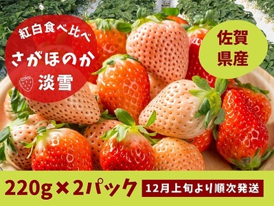 佐賀県佐賀市のふるさと納税でもらえるいちご・バナナの返礼品一覧