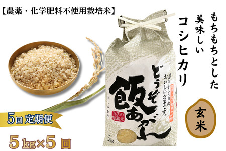 [定期便5回]もちもちとした美味しいコシヒカリ玄米[農薬・化学肥料不使用栽培米]5kg×5回(計25kg):C111-010