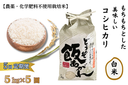 [定期便5回]もちもちとした美味しいコシヒカリ 白米[農薬・化学肥料不使用栽培米]5kg×5回(計25kg):C111-011