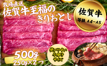 佐賀牛 至福のきりおとし 500g:B130-052