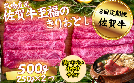 y3zꋍ ̂肨Ƃ 500gFB370-007