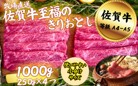 ꋍ ̂肨Ƃ 1000gFB220-043