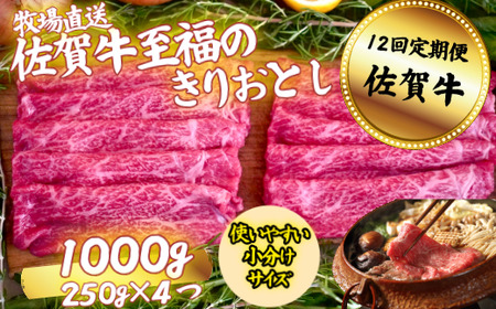 y12zꋍ ̂肨Ƃ 1000gi250g×4PjFC250-030