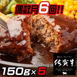 [偶数月定期便(年6回)]佐賀牛入りハンバーグ 5個:B580-003