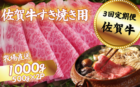 y3zꋍ ₫p XCX 1000gFC104-008