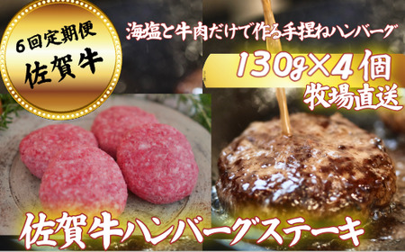 y6zyq꒼zꋍno[OXe[L 4 FB690-013