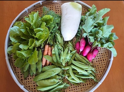 佐賀県佐賀市のふるさと納税でもらえる野菜の返礼品一覧 | ふるさと