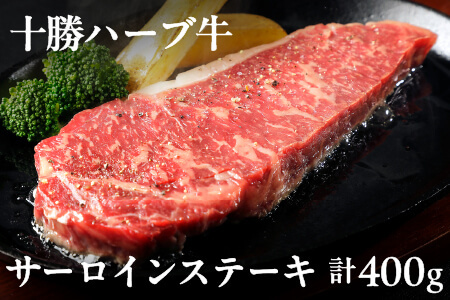 北海道産牛肉 ステーキ[計400g]|十勝ハーブ牛 サーロインステーキ 牛肉 サーロイン 国産牛