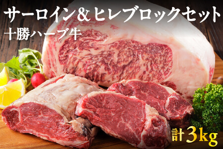 十勝ハーブ牛 サーロイン&ヒレブロックセット 牛肉 赤身[計3kg] サーロイン ヒレ肉 キャンプ アウトドア BBQ| 北海道産