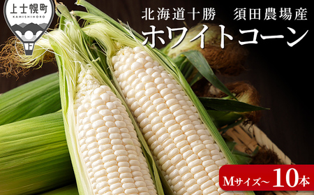 北海道産 ホワイトコーン 計10本 上士幌町須田農場 白いスイートコーン とうもろこし 野菜 冷蔵便 ◆2025年08月配送予定