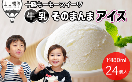 \[[XC[c ̂܂܃ACX xX 80ml×24  kC XC[c ACX ACX~N sgp J[ Ⓚ