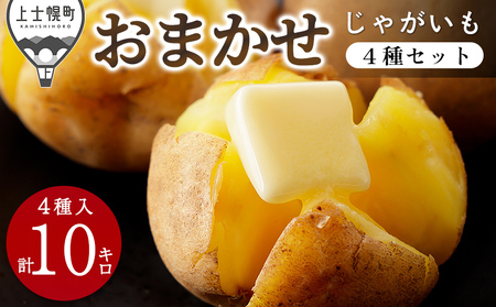 kCY ܂ Ⴊ 4Zbg 10kg kC my _  WKC n鏒 Yn 2025N12z