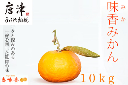 ws\xyߘa8N2{zʔۂƃKubI݂ 10kg Ṽ~J t[c ʕ fU[g k