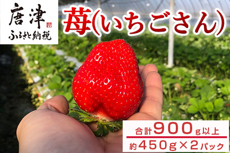 『先行予約』[12月上旬より順次発送]佐賀県唐津産いちごさん約450g×2パック(合計約900g) いちごさん イチゴ 果物