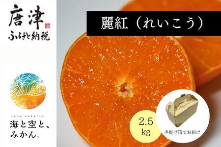 『予約受付』[令和7年2月上旬発送]唐津産ハウス育ち「麗紅」2.5kg 手提げ箱入り 〜海と空と、みかん〜 ミカン フルーツ 柑橘 ギフト