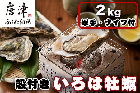 ws\xy12{菇zÎY kt͉y 2kg(REiCtt)Ԍ Yn kt y JL kty ꌧ CN BBQ Mp  蕨 ~Mtg M