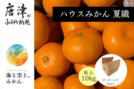 『先行予約』[令和7年6月上旬発送]夏の極上ハウスみかん「夏織」箱込10kg 〜海と空と、みかん〜 甘くてとろける夏の果物 ミカン フルーツ 柑橘