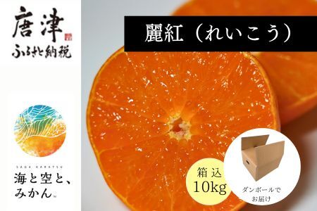 『予約受付』[令和7年2月上旬発送]唐津産ハウス育ち「麗紅」箱込10kg 〜海と空と、みかん〜 ミカン 果物 フルーツ 柑橘 ギフト