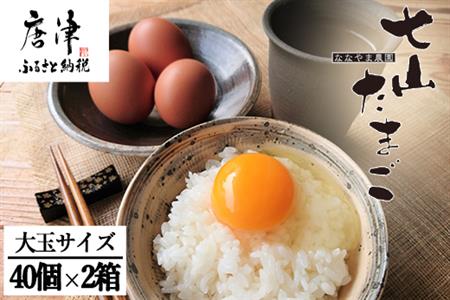 IR܂ 40×2(v80) () ʎq  { ꌧÎY