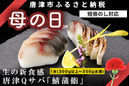 「母の日」生の新食感 唐津Qサバ「鯖蒲鮨」1本(300g以上〜350g未満) さば 蒲鉾 かまぼこ おつまみ ギフト 鯖 サバ 唐津 Qサバ 鯖鮨 呼福 大志 水産 魚 海鮮 水産加工「母の日」Hahanohi