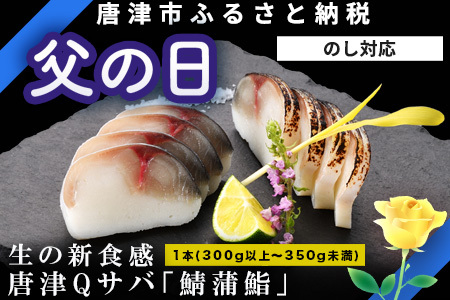 「父の日」生の新食感 唐津Qサバ「鯖蒲鮨」1本(300g以上〜350g未満) さば 蒲鉾 かまぼこ おつまみ ギフト 鯖 サバ 唐津 Qサバ 鯖鮨 呼福 大志 水産 魚 海鮮 水産加工