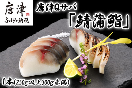 生の新食感 唐津Qサバ「鯖蒲鮨」1本(250g以上〜300g未満) さば 蒲鉾 かまぼこ おつまみ ギフト 鯖 サバ 唐津 Qサバ 鯖鮨 呼福 大志 水産 魚 海鮮 水産加工