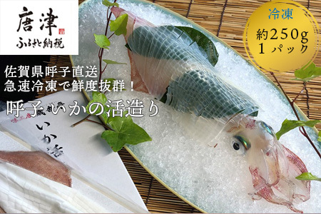 『先行予約』呼子のいか活造り1杯! コリコリ甘い鮮度抜群の透明感! 約250g 刺身 ギフト 冷凍 ※水揚げあり次第7月以降順次発送させていただきます。