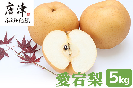 󂠂 H׍  {̗5kg@@ʕ t[c 