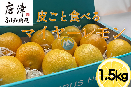 『先行予約』[令和8年11月より順次発送]皮ごと食べる マイヤーレモン 1.5kg 唐津産 柑橘 レモン れもん 檸檬