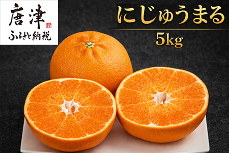『先行予約』[令和8年3月上旬より順次発送]◎にじゅうまる◎ 5kg 佐賀県産[高級柑橘みかん]果物フルーツ 柑橘