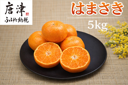 『先行予約』[令和9年2月上旬より順次発送][特選甘熟みかん]はまさき 5kg 佐賀県産 果物フルーツ 柑橘
