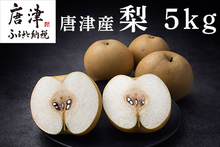 『先行予約』[令和8年7月上旬より順次発送]唐津産 梨 5kg[旬の味覚]果物 フルーツ 幸水 豊水