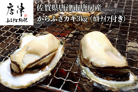 w\txyߘa8N3{zꌧÎs[Y ӂJL3kg (JLiCtt) Vs y BBQ AEghA