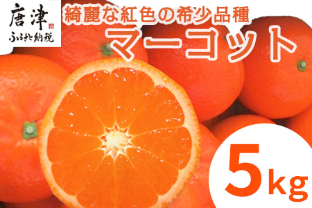 『先行予約』【令和8年2月中旬発送】マーコット（ハウス栽培）唐津産 5kg みかん ミカン 果物 フルーツ