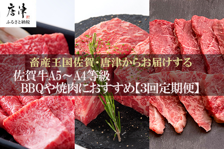 「定期便全3回」 佐賀牛 BBQや焼肉好きな方におすすめ 寄附翌月から発送 6種盛360g モモブロック800g ヒレ300g (合計1.46kg) A5〜A4等級 ギフト 贈り物 アウトドア