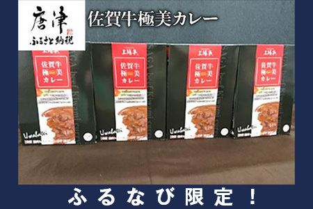 [ふるなび限定]佐賀牛 極美カレー ビーフカレー レトルト 牛肉 加工食品 惣菜 FN-Limited