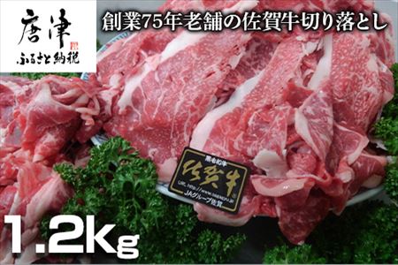 n75NV܂̍ꋍ؂藎Ƃ1.2kg