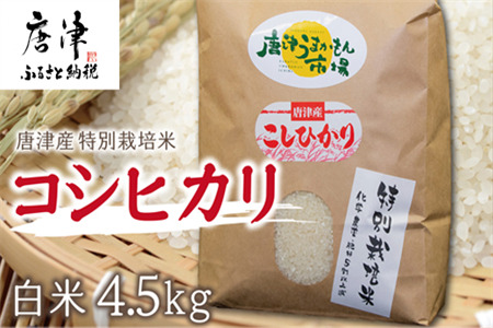 [令和7年産 新米]唐津産特別栽培米 コシヒカリ(白米) 4.5kg ご飯 コメ お米