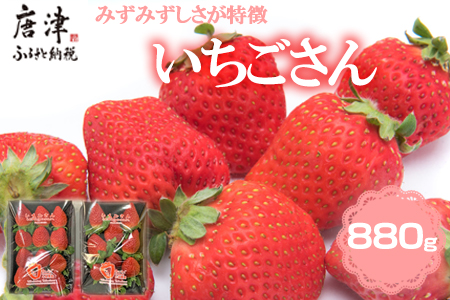 『先行予約』[令和7年3月上旬から4月下旬までにお届け]いちごさん 約220g×4パック (合計約880g) いちご 苺 イチゴ 果物 フルーツ 贈答