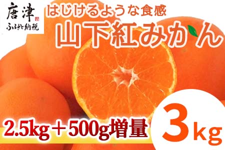 『先行予約』[令和8年11月発送]山下紅みかん(ハウス栽培) 唐津産 3kg ミカン 蜜柑 果物 フルーツ