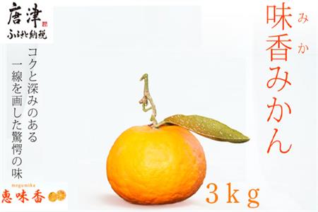 果皮も丸ごとガブッ！味香みかん 3kg 新種のミカン フルーツ 果物 デザート 柑橘