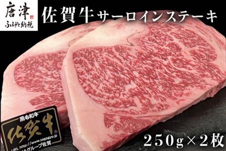 佐賀牛サーロインステーキ 250g×2枚(合計500g) 牛肉 ステーキ BBQ アウトドア 「2023年 令和5年」